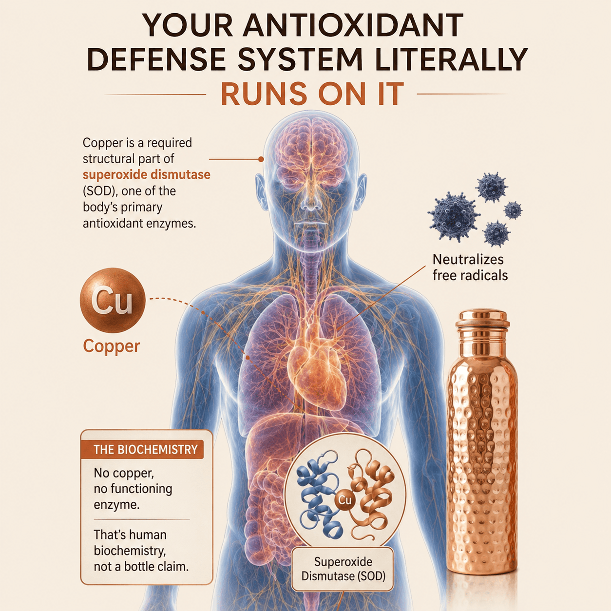 The word for what that load does to you is inflammation